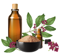 Botanical-Infused Formula